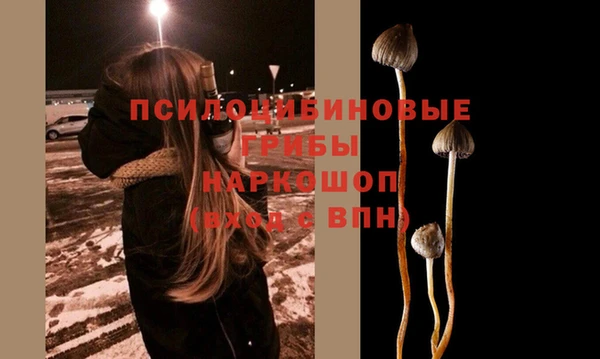 молекула духа Михайлов