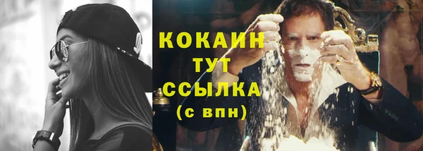 молекула духа Михайлов
