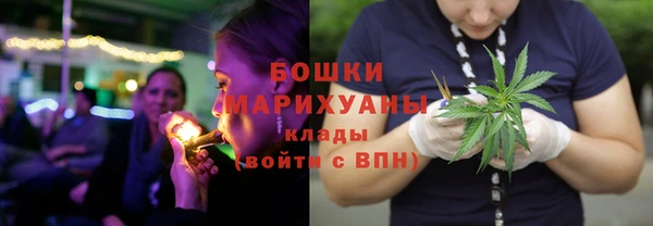 молекула духа Михайлов