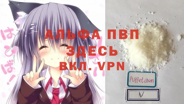 молекула духа Михайлов