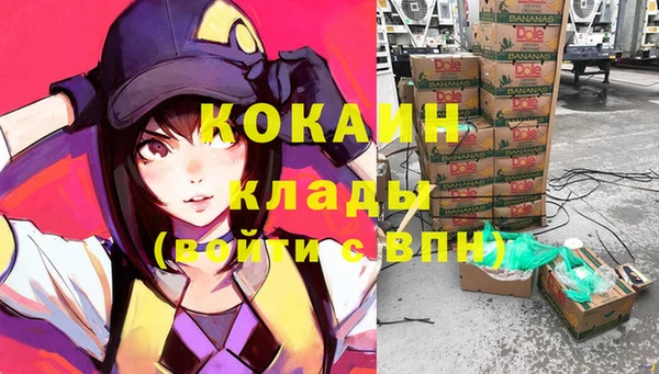 молекула духа Михайлов