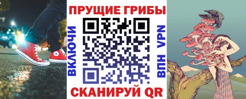 закладки Шлиссельбург Галлюциногенные грибы ЛСД